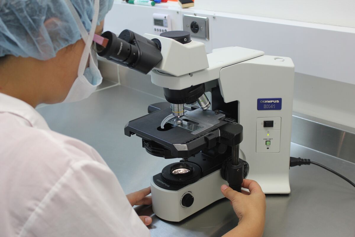 Microscope2